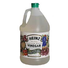 vinegar.jpg